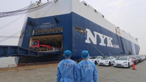 歐盟東盟美國(guó),上海跟三大貿(mào)易伙伴出口全部?jī)晌粩?shù)增長(zhǎng),新能源產(chǎn)品出海翻倍了